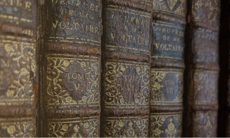 Poster for Library of Voltaire section